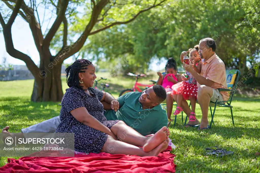 Happy multigenerational family, relaxing in summer park