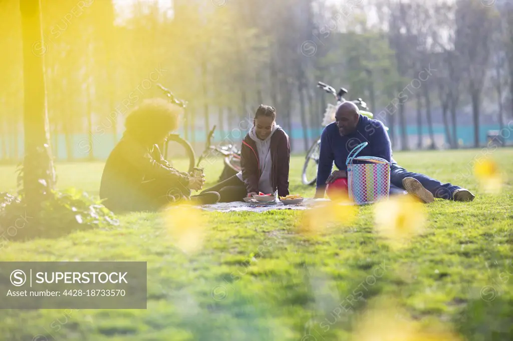 Father and teen kids enjoying picnic in sunny park