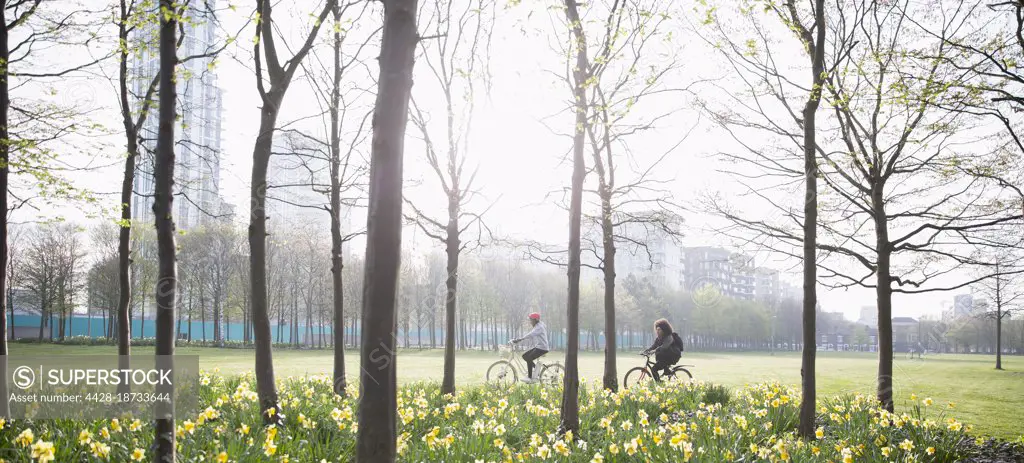 People riding bicycles in sunny spring park