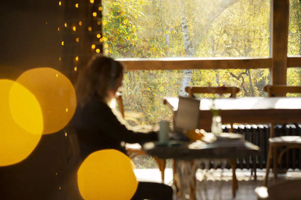 Businesswoman working in cafe with window view of autumn trees