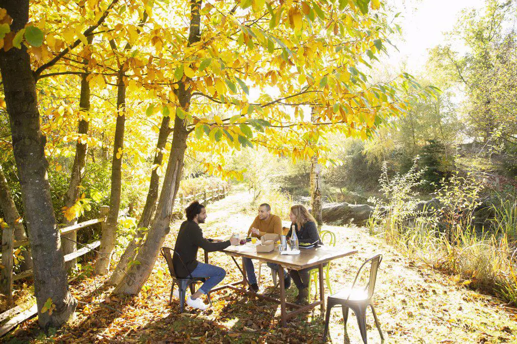 Business people meeting at table in sunny idyllic autumn park