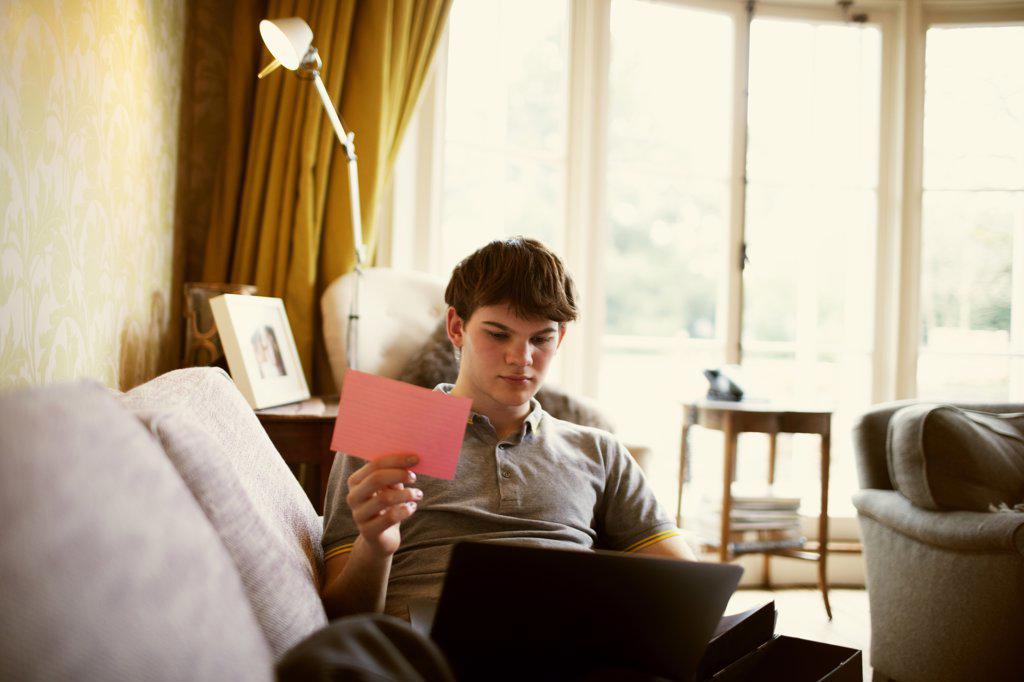 Teenage boy with laptop studying on living room sofa
