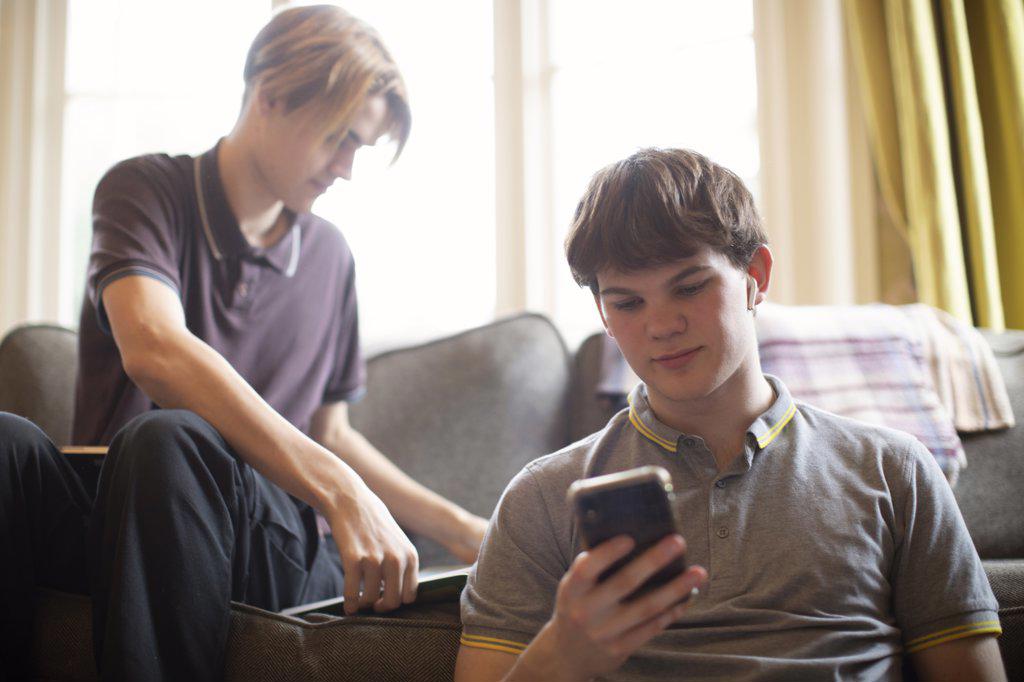 Teenage boys with smart phone studying at home