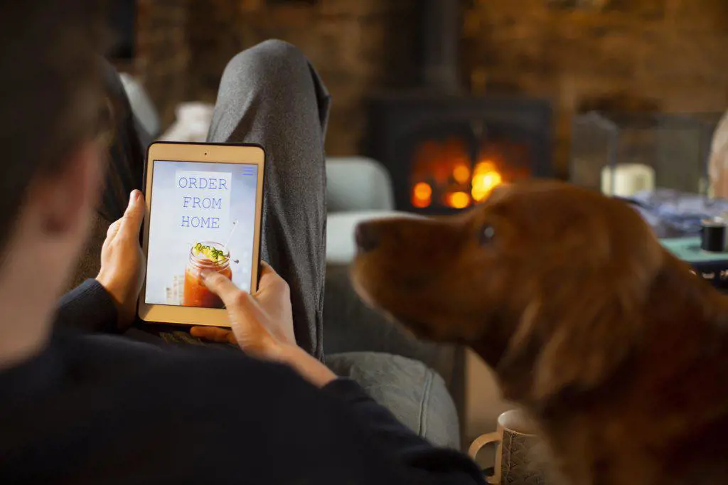 Dog watching man order takeout on digital tablet screen