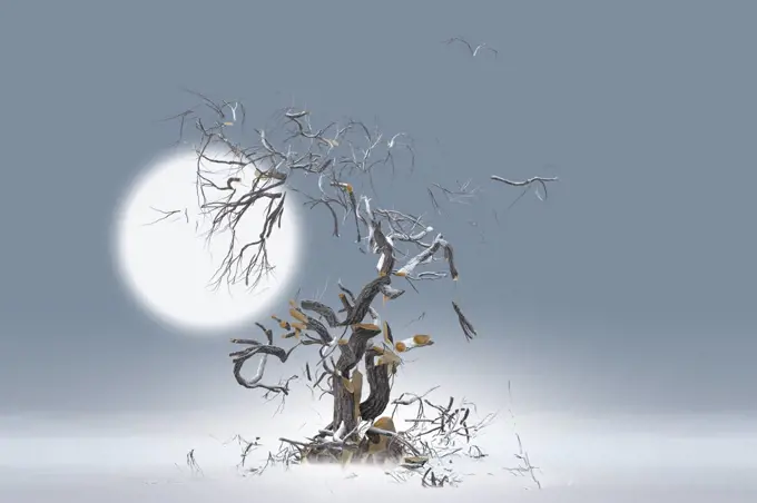 Tree and branches exploding against moon