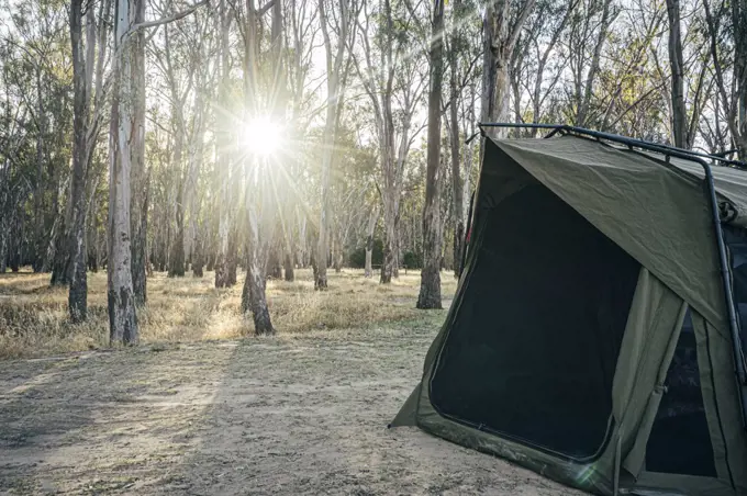 Tent at sunny campsite, Australian bush
