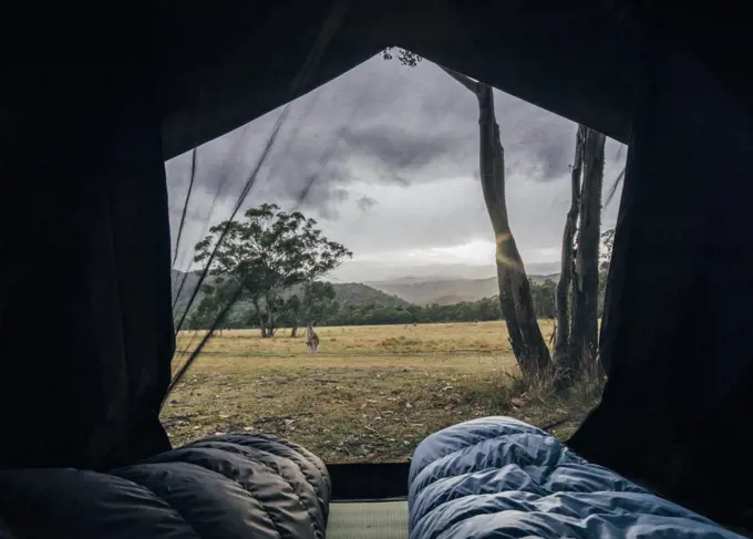 Sleeping bags inside tent with scenic view of Australian bush