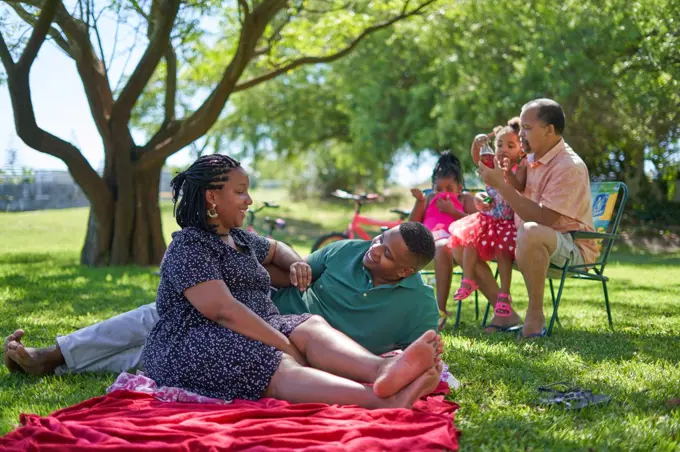 Happy multigenerational family, relaxing in summer park