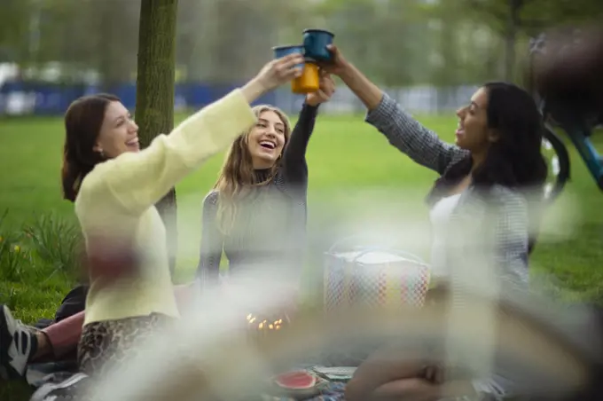 Happy young women friends toasting glasses at park picnic