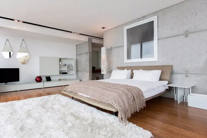 Shag rug in modern bedroom