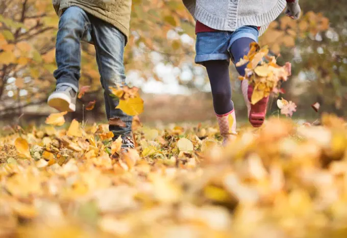 Children walking in autumn leaves,London, UK