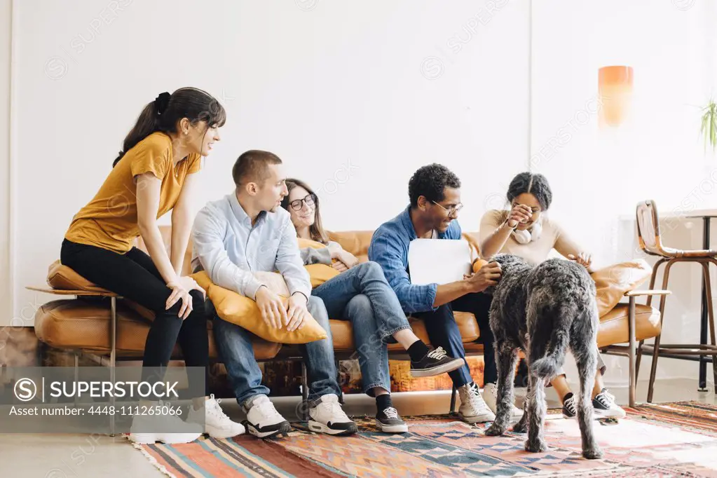 Happy programmers looking dog playing with colleague sitting on sofa in creative office