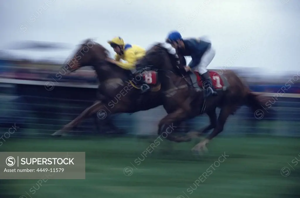 Jockeys at full speed at Dingle races, Dingle, County Kerry, Ireland