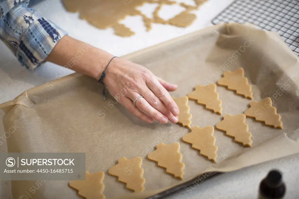 High angle close up of woman placing Christmas Tree cookies on a baking tray.