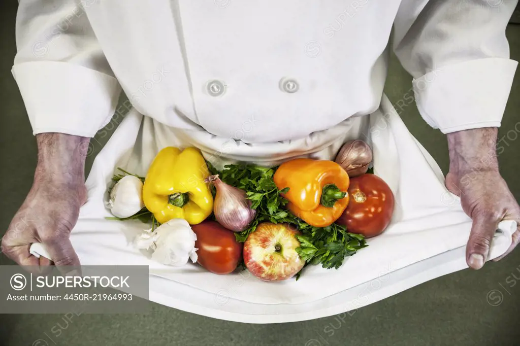 Close-up of chef holding an assortment of fresh vegetables in his apron. 