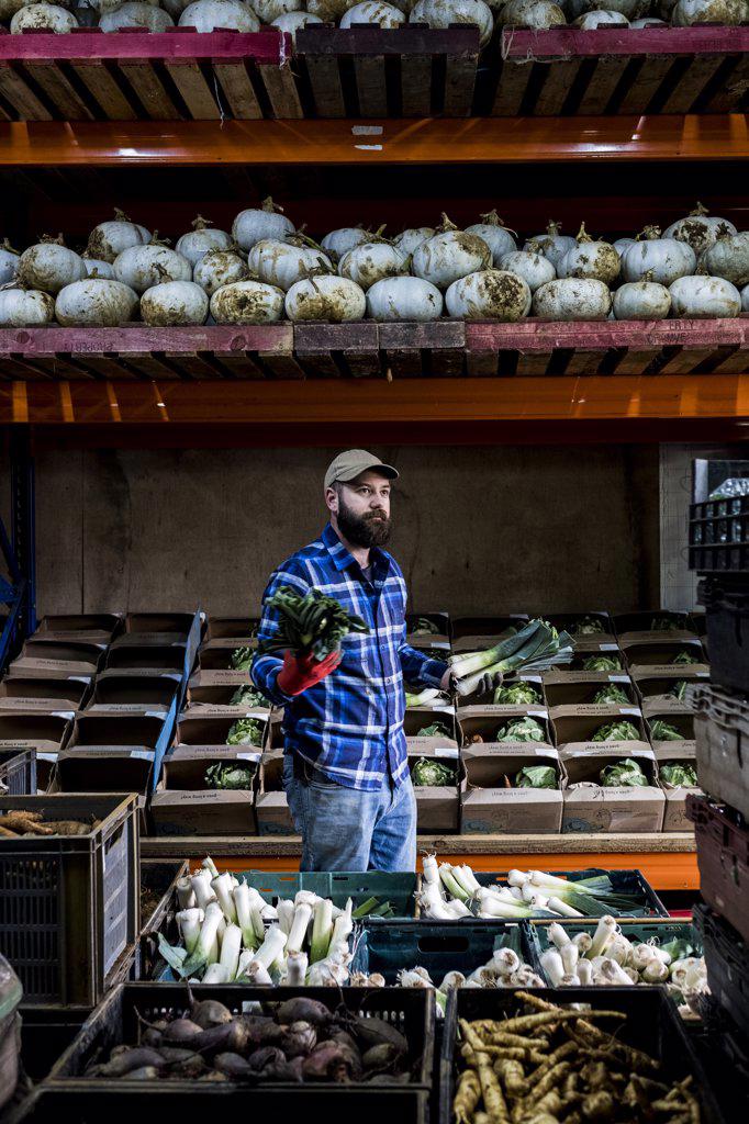 Farmer standing in a barn, sorting freshly picked produce into vegetable boxes.