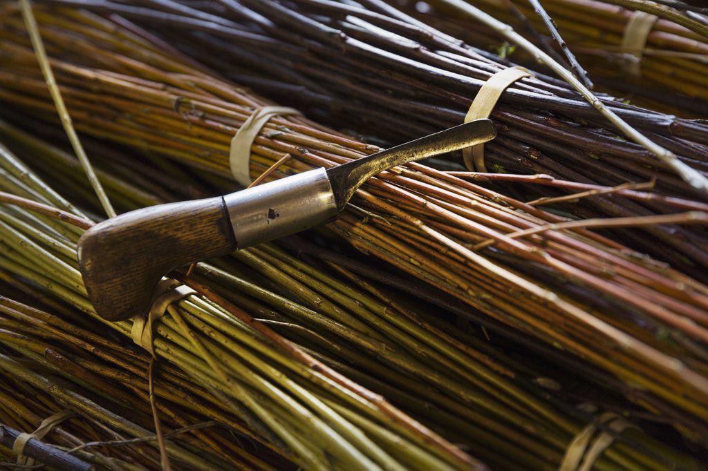 Close up of willow bundles and hand tool in a basket weaver's workshop.