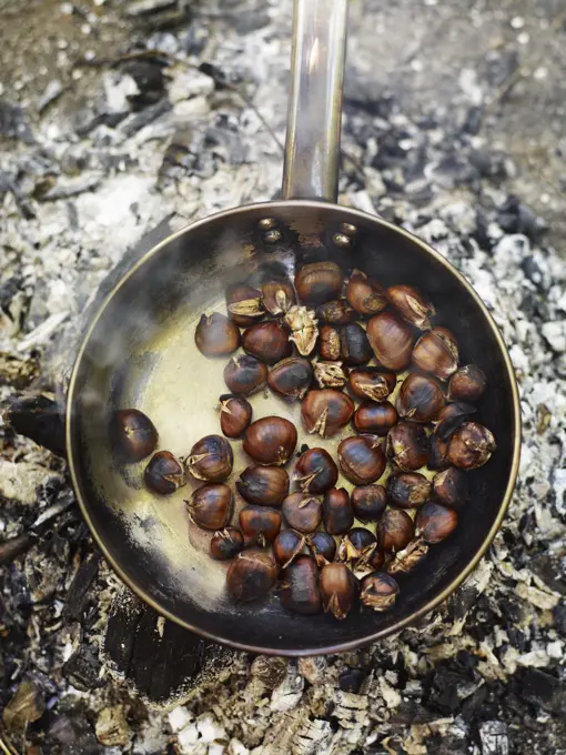 A frying pan over an open fire, with blackened fresh roasted chestnuts.