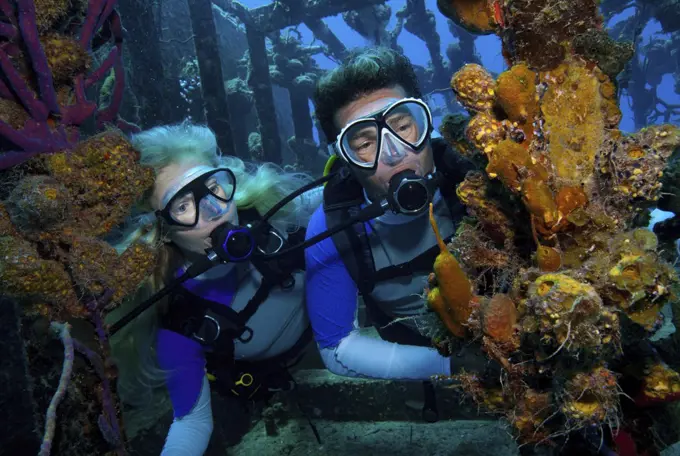 Divers observe marine life attached to the remnants of the hull of a shipwreck dive site. 