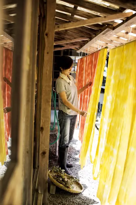Japanese woman standing outside a textile plant dye workshop, hanging up freshly dyed bright yellow and orange fabric.