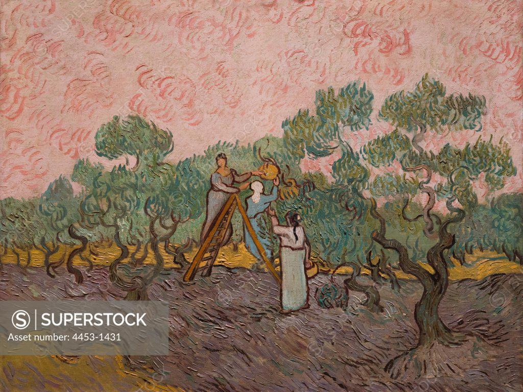 Stock Photo: 4453-1431 Vincent van Gogh; Dutch; Zundert 1853-1890 Auvers-sur-Oise; Women Picking Olives; 1889; Oil on canvas.