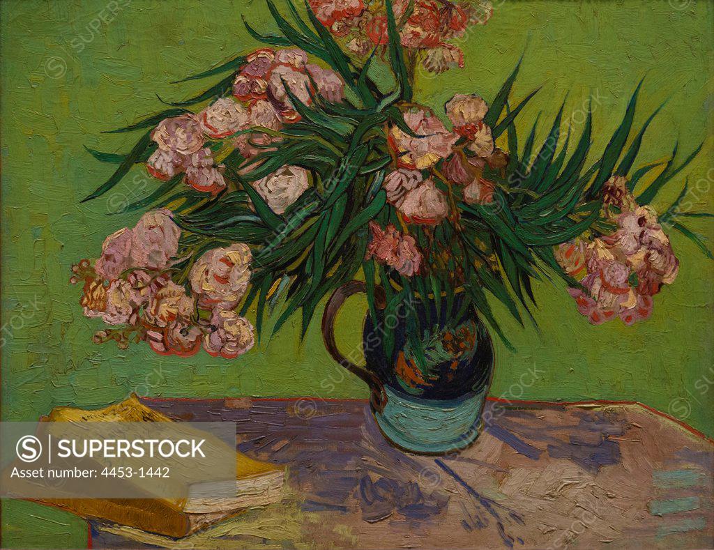 Stock Photo: 4453-1442 Vincent van Gogh; Dutch; Zundert 1853-1890 Auvers-sur-Oise; Oleanders; 1888; Oil on canvas.
