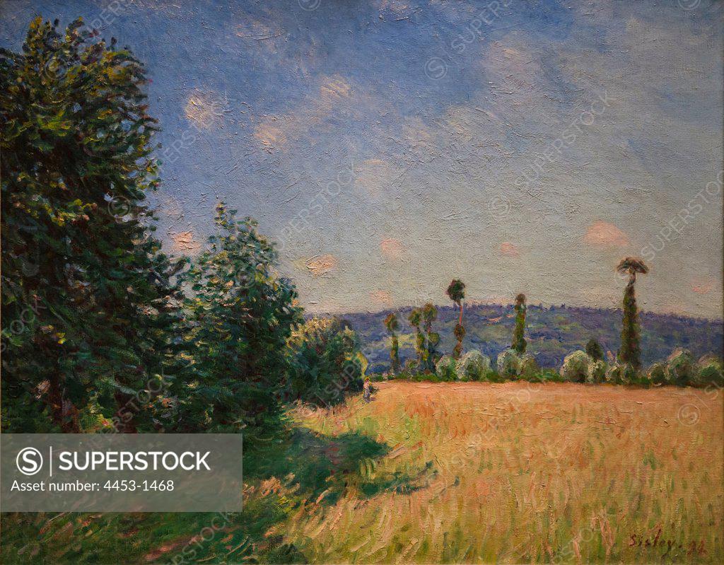 Stock Photo: 4453-1468 Alfred Sisley; English; 1839-1899; Sahurs Meadows in Morning Sun; 1894; Oil on canvas.