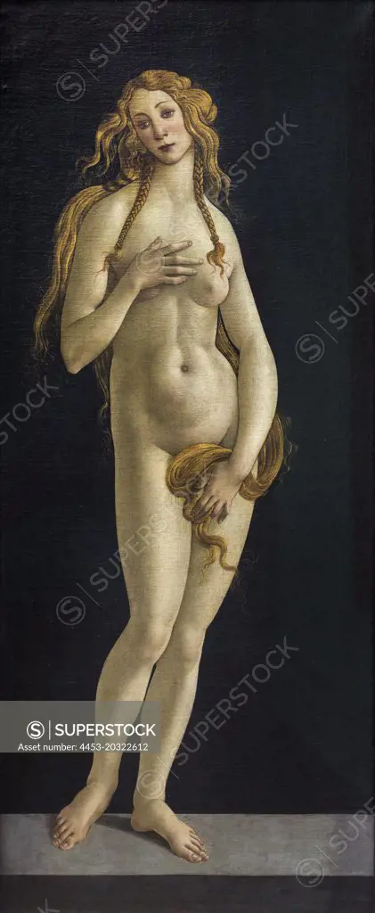 Venus. (Sandro Botticelli; 1445 Florence Florence 1510)