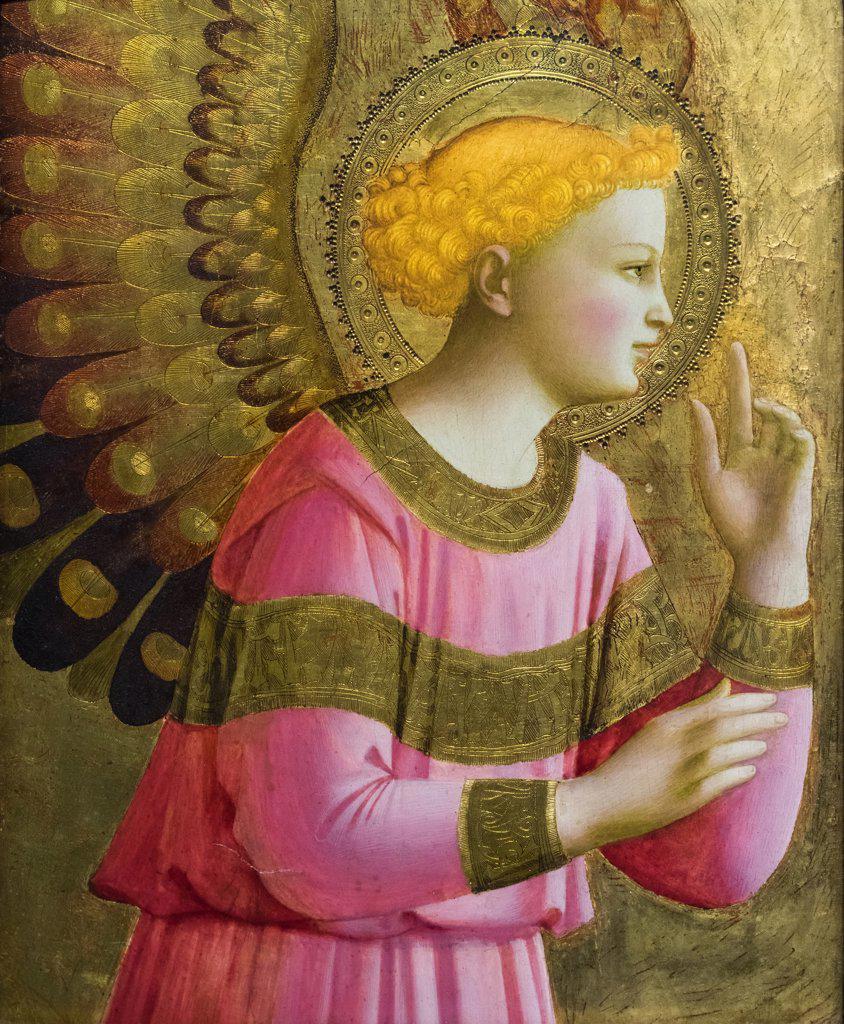 Annunciatory Angel; About 1450-55 Tempera on panel Fra Angelico (Fra Giovanni da Fiesole) Italian; about 1395/1400-1455