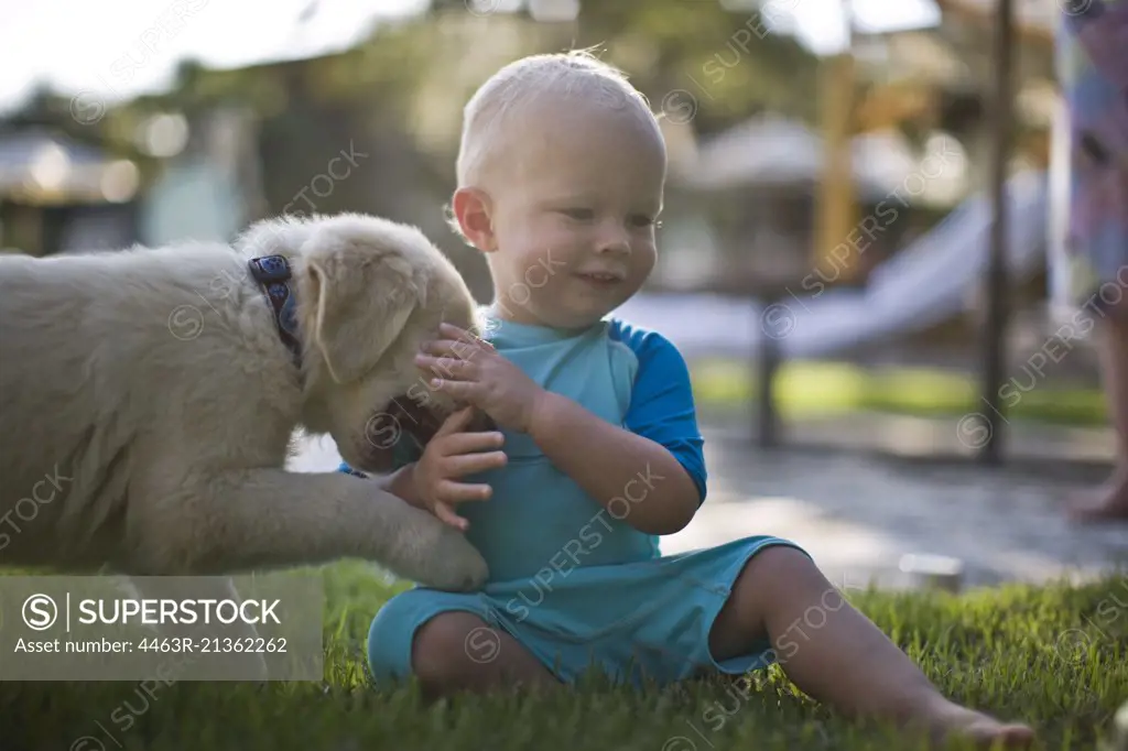 Young toddler playing with a puppy.