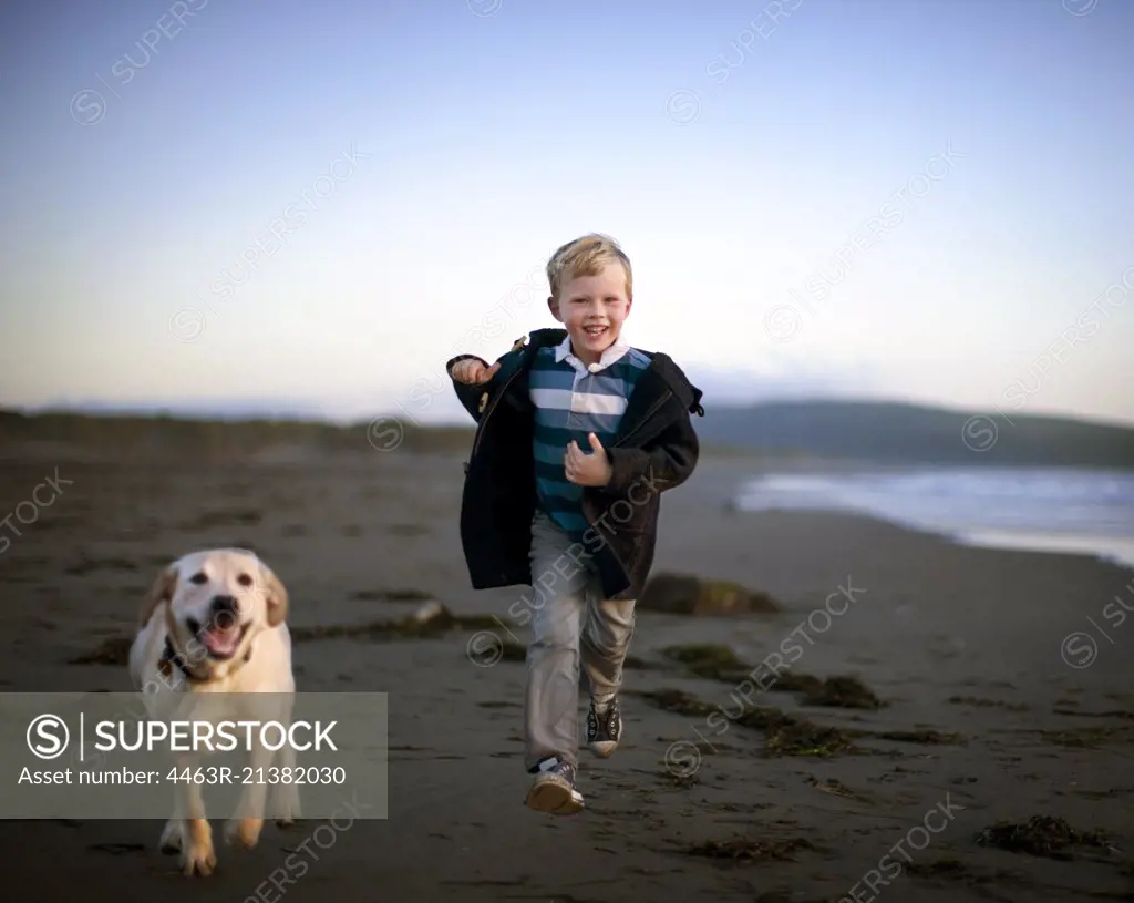 Boy and his dog run around on the beach.