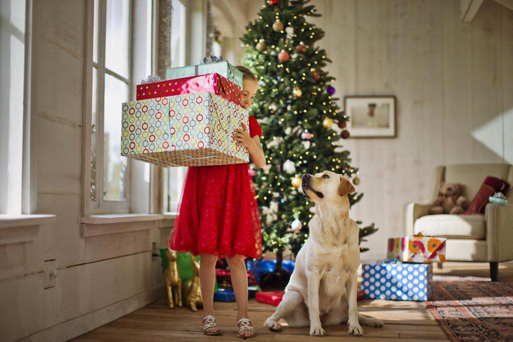 Young girl carrying a stack of Christmas presents.