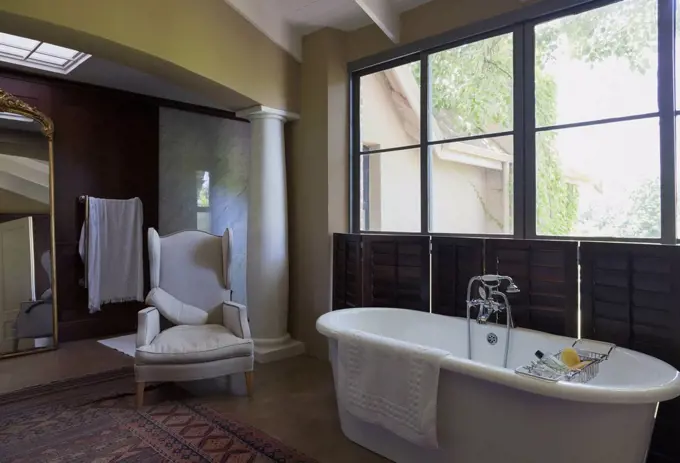 Home showcase soaking tub in luxury bathroom