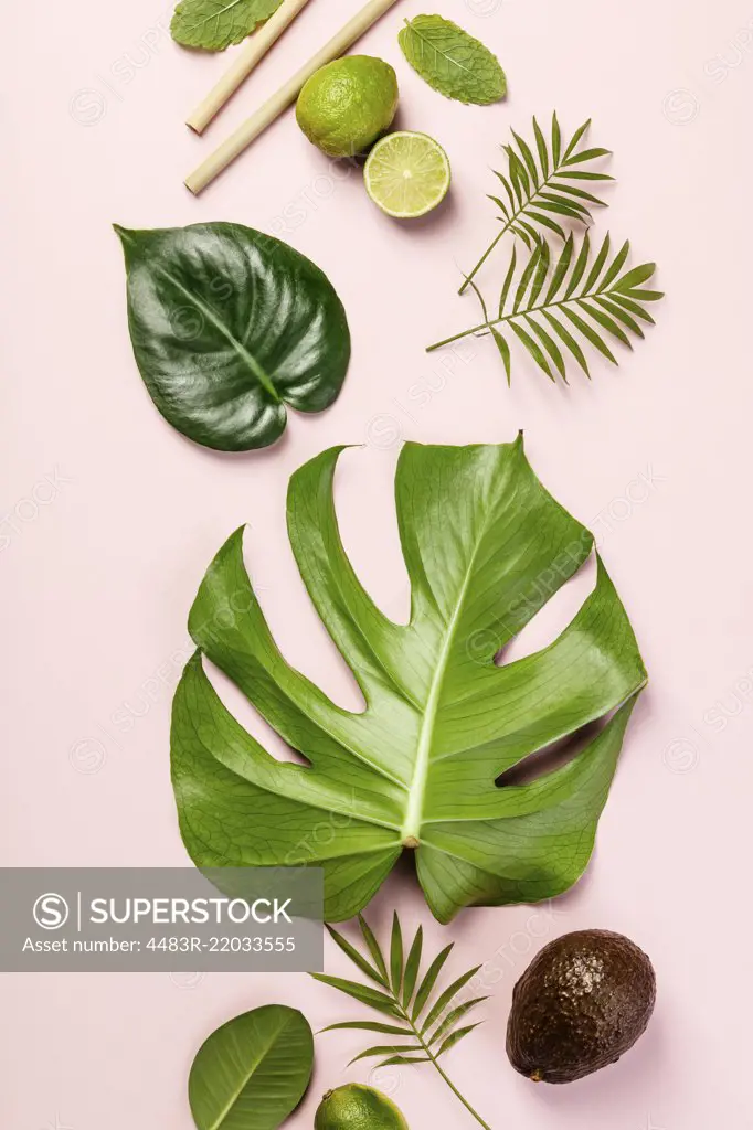Tropical fruits and leaves on pink pastel background