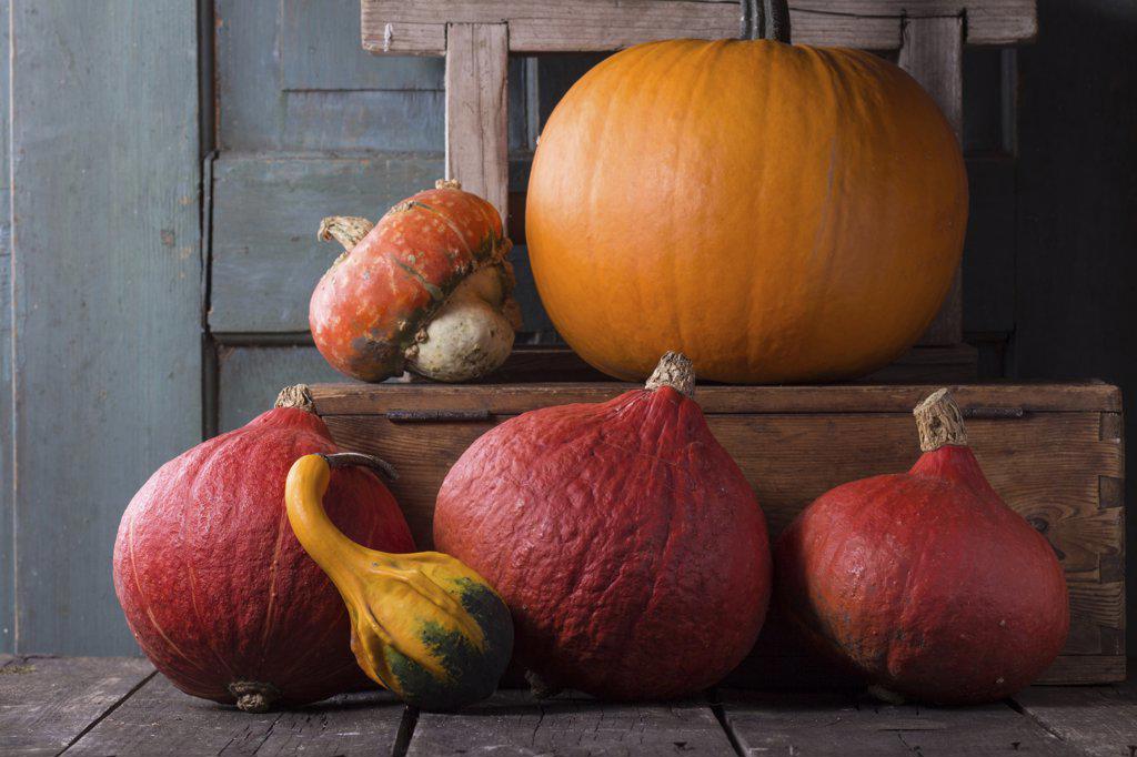 Assortment of different edible and decorative pumpkins on wooden chest over wooden background.