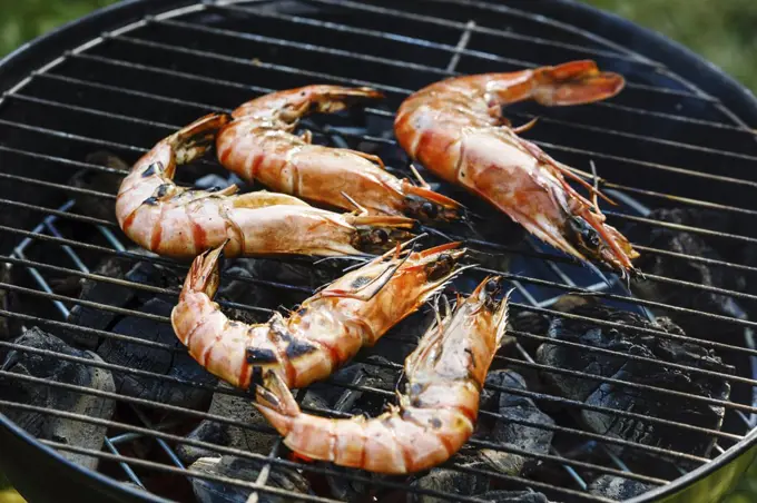 Grilled king size Prawns on grill BBQ background