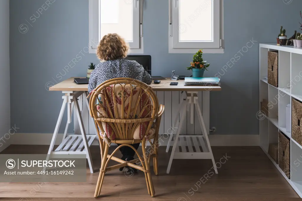 Back view of adult woman in casual clothes working on laptop in earphones at room decorated with cactuses in ceramic pots