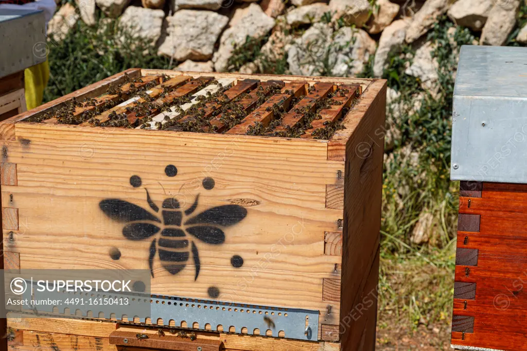 Closeup of new wooden honeycomb beehive box with bees placed in apiary in sunny summer day