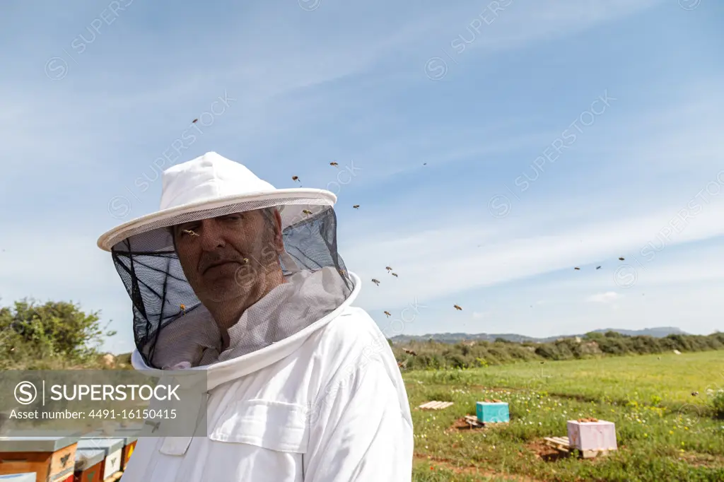 Mature male beekeeper in white protective costume and mask looking at camera while standing in apiary with bees flying around in summer day
