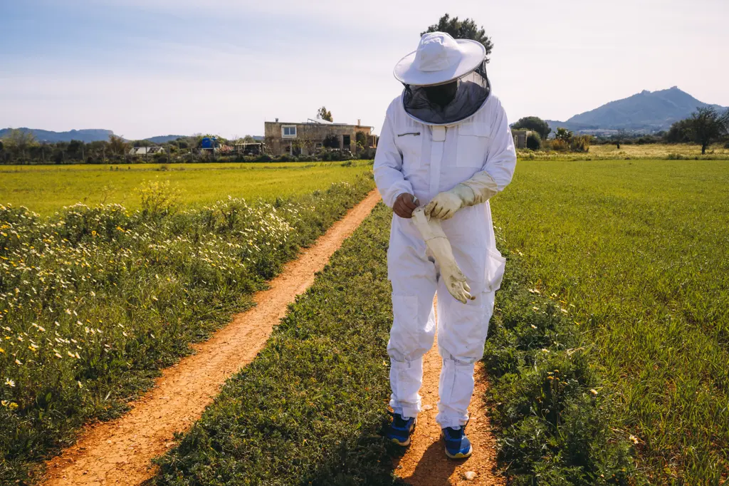 Unrecognizable beekeeper in white costume putting on protective gloves while standing on green grassy meadow and preparing for working on apiary