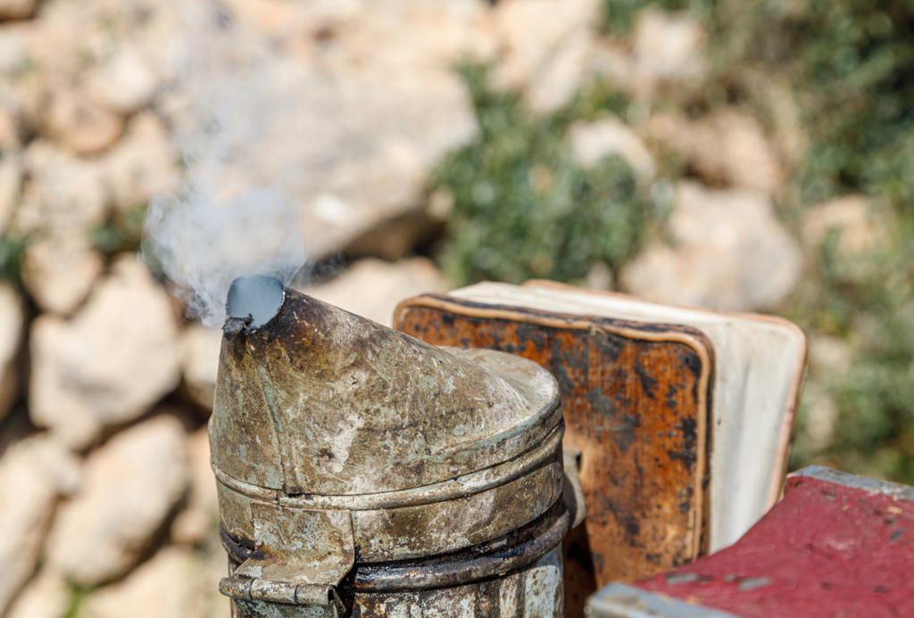 Closeup of weathered rusty metal bee smoker with smoke placed against blurred natural background in apiary
