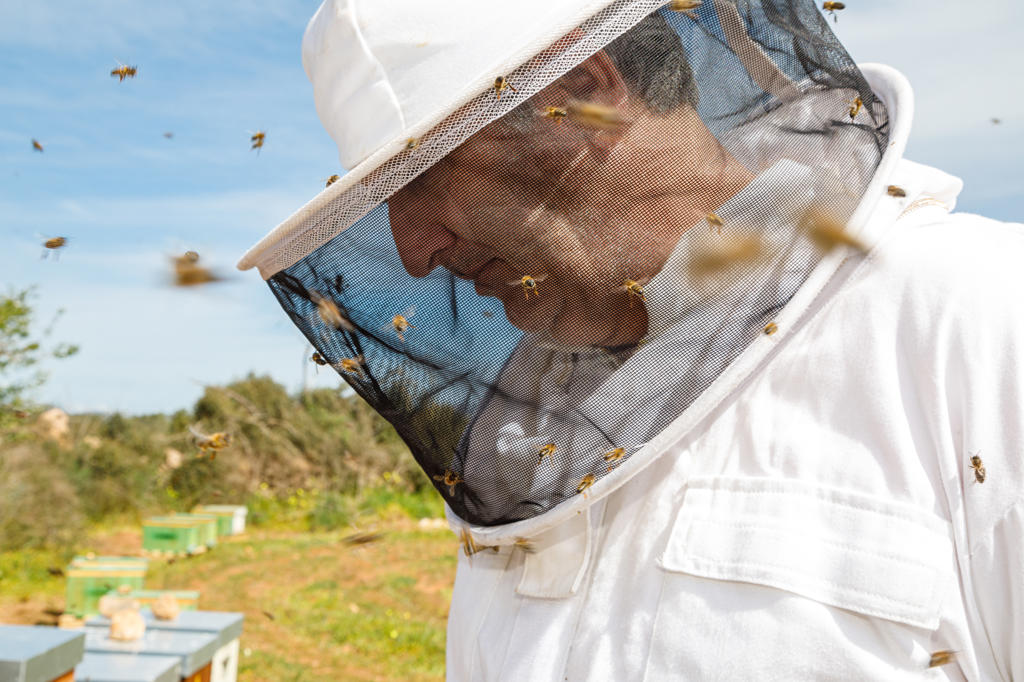 Mature male beekeeper in white protective costume and mask looking down while standing in apiary with bees flying around in summer day
