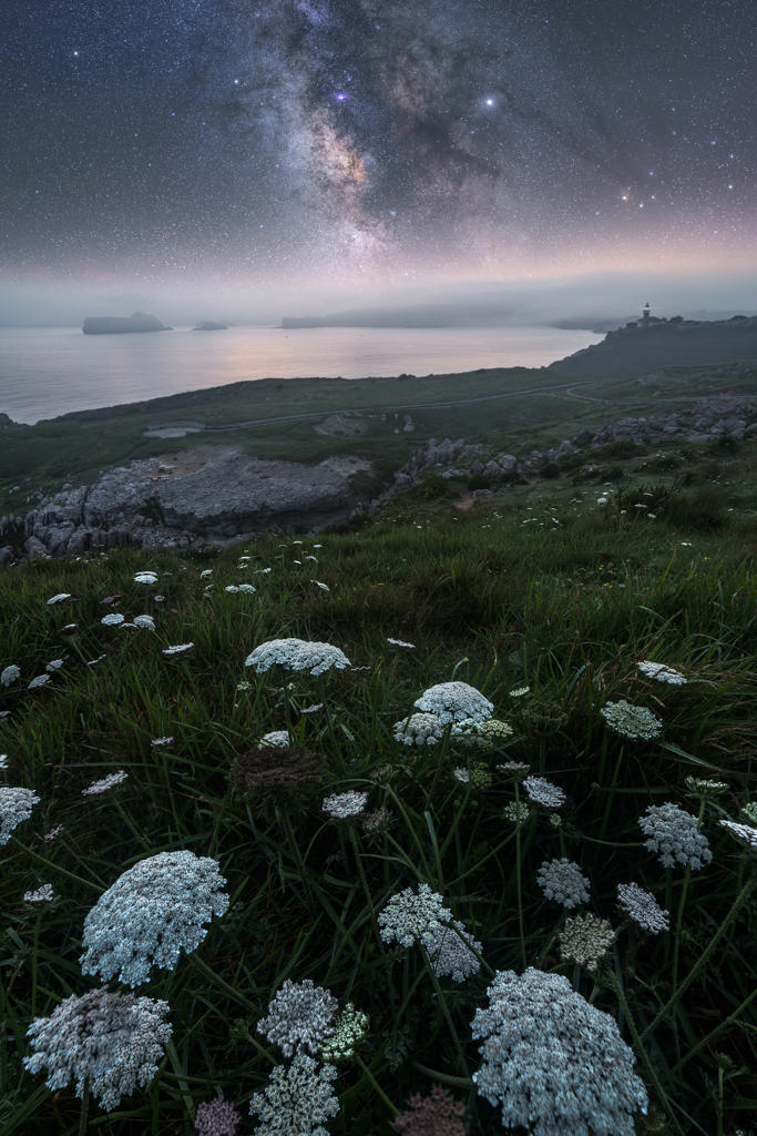 White field flowers and green grass on hill with calm rocky empty seashore and colorful bright sky with milky way on background
