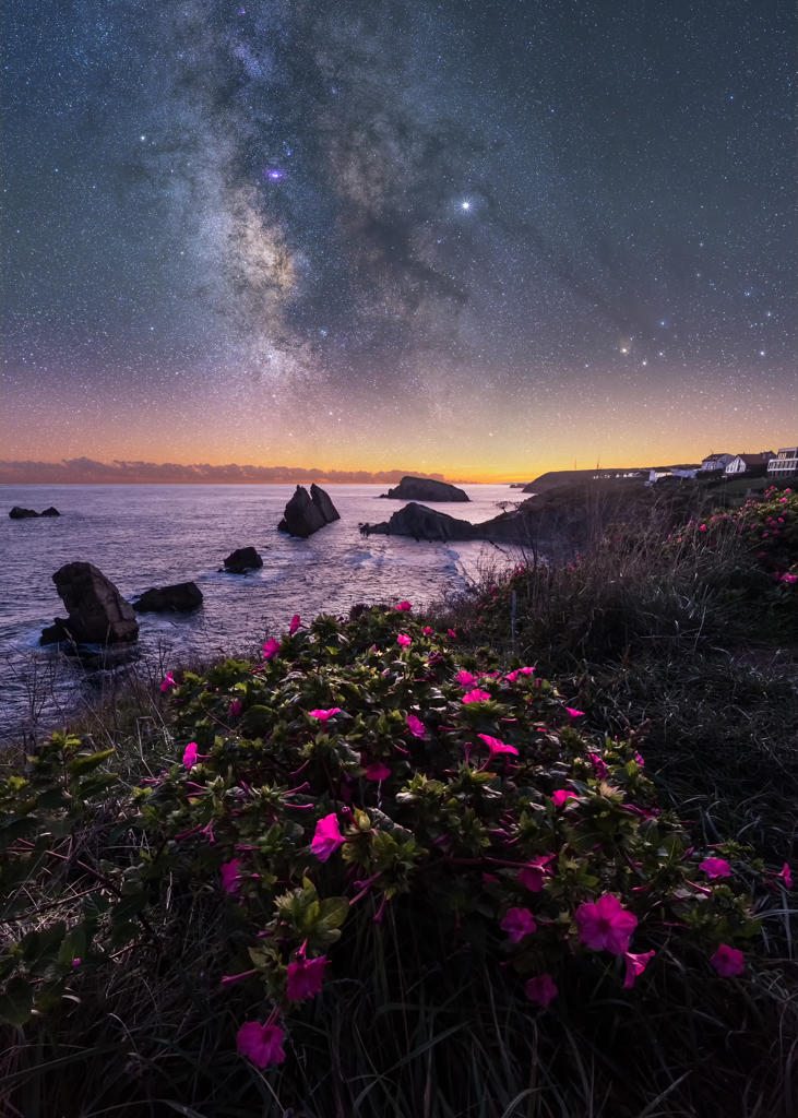 Pink field flowers and green grass on hill with calm rocky empty seashore and colorful bright sky with milky way on background