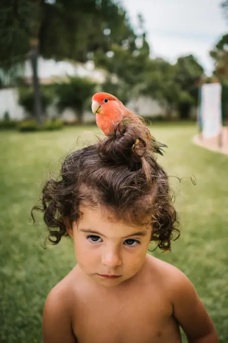 portrait of a young cute little girl with a parrot on top of her head