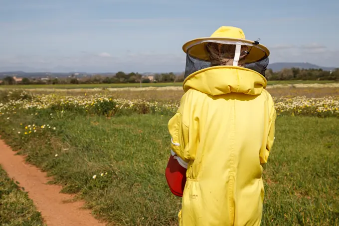 Back view of unrecognizable beekeeper in professional yellow costume carrying plastic container while walking on path in green field in sunny summer day
