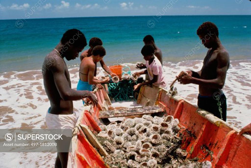 Stock Photo: 497-181200B Side profile of young men and young women standing near a fishing boat, Petite Anse, Martinique