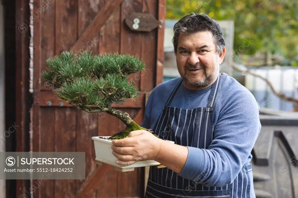 Portrait of smiling caucasian male gardener holding bonsai tree at garden centre. specialist working at bonsai plant nursery, independent horticulture business.