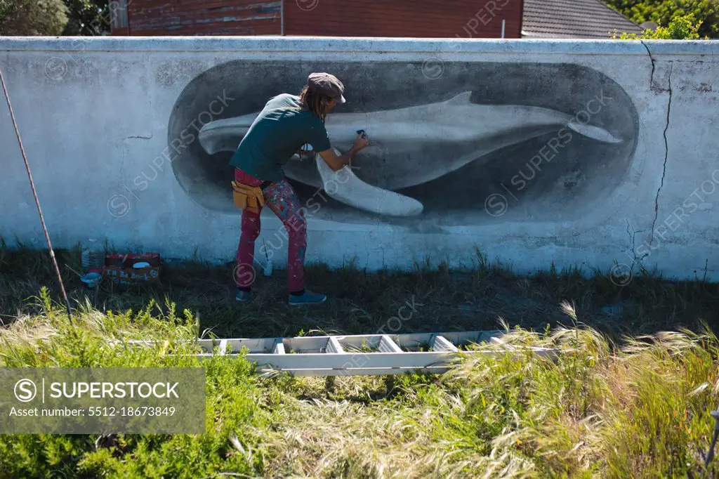 Rear view of male painter making beautiful whale mural painting on wall. street art and skill.
