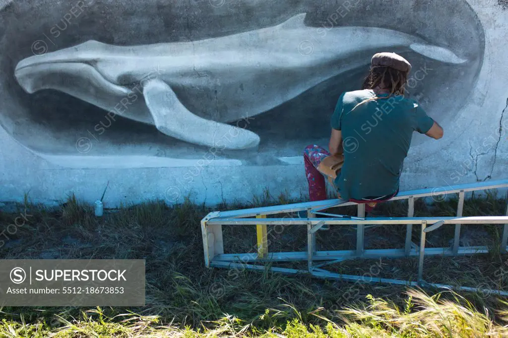 Rear view of male freelance artist sitting on ladder making beautiful whale mural painting on wall. street art and skill.